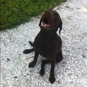 Meet your Posher, Casey